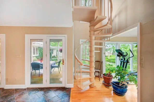 a view of a park with large trees and a big yard