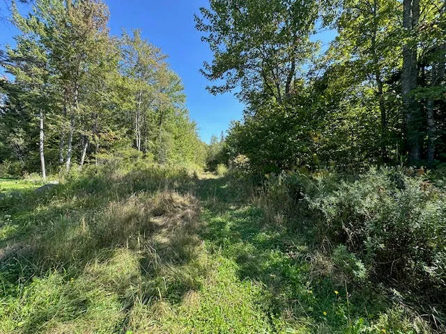 $45,000 | M1-l431e-2 M1-l431e-2 Sally Mack Road, Frankfort, ME 04438