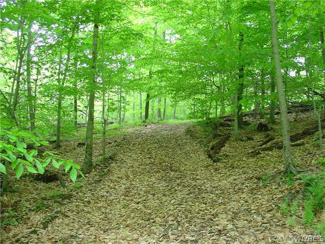 0 Gilmore Road Findley Lake, NY 14736 - Photo 1 of 1 Land
