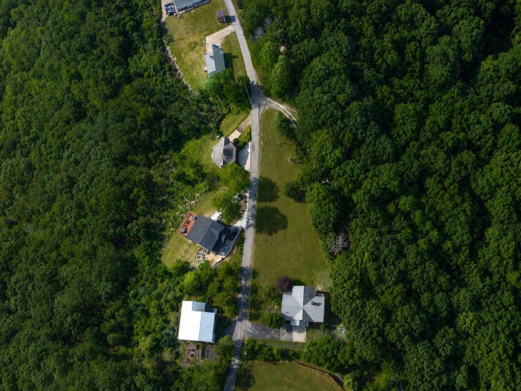 1361 Talona Mountain Road Ellijay, GA 30536 - Photo 66 of 67