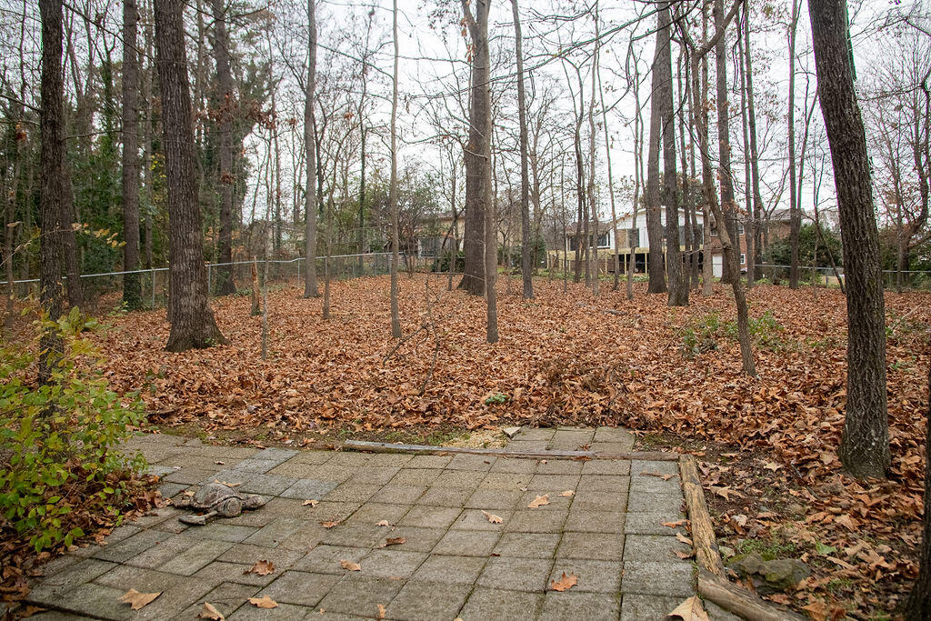 216 Riderwood Drive Dalton, GA 30721 - Photo 9 of 47 large fenced back yard