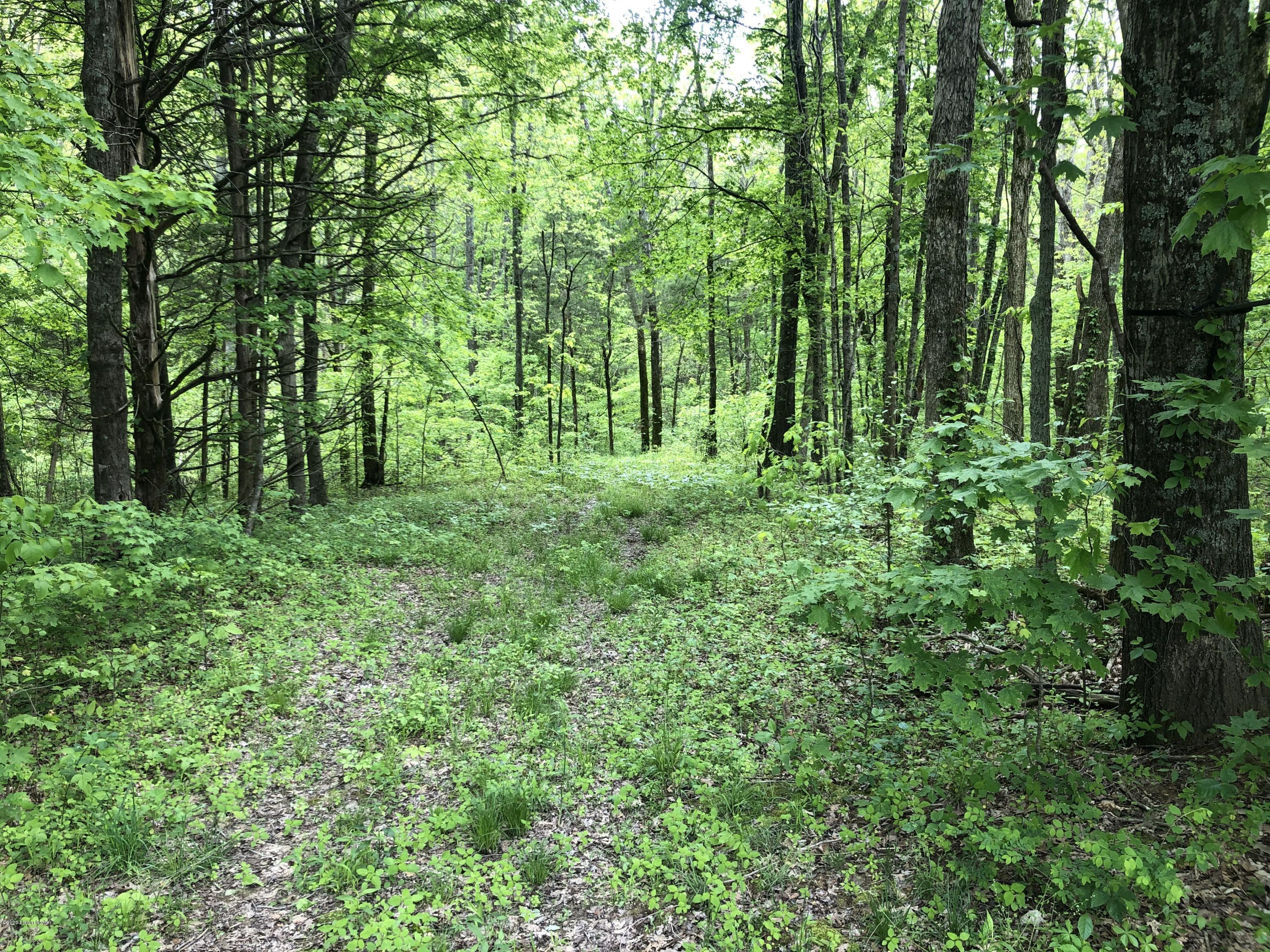 1650 Greens Chapel Road Bloomfield, KY 40008 - Photo 21 of 34 Trail 1