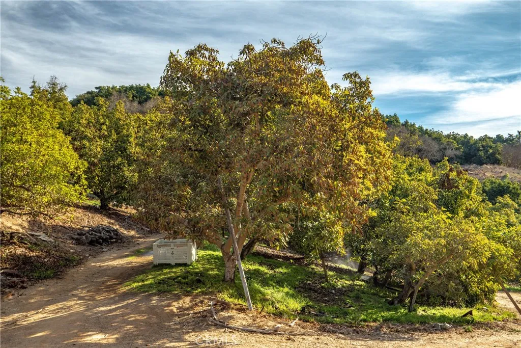 0 Circle R Drive Norwalk, CA 90650 - Photo 14 of 28