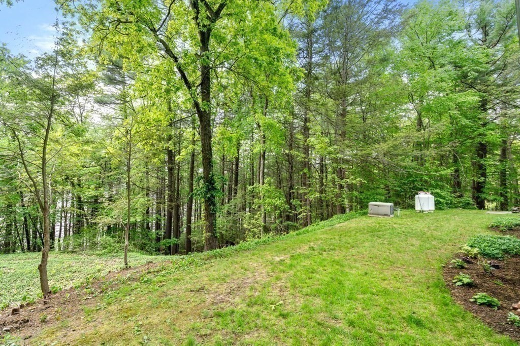 32 Whitman Road Harvard, MA 01451 - Photo 30 of 38 a view of an outdoor space and trees