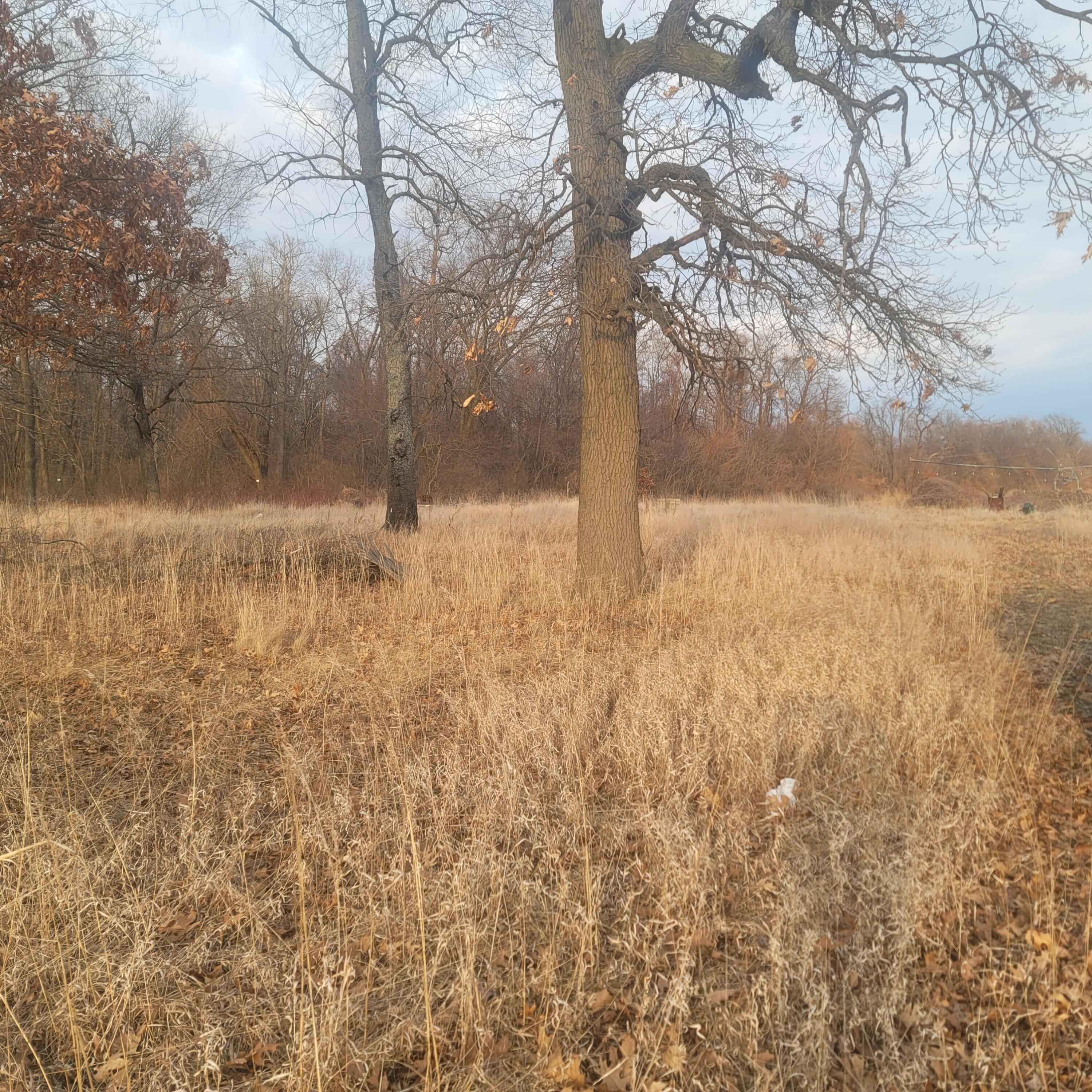 65515 Sevison Road Constantine, MI 49042 - Photo 2 of 4 1000022011