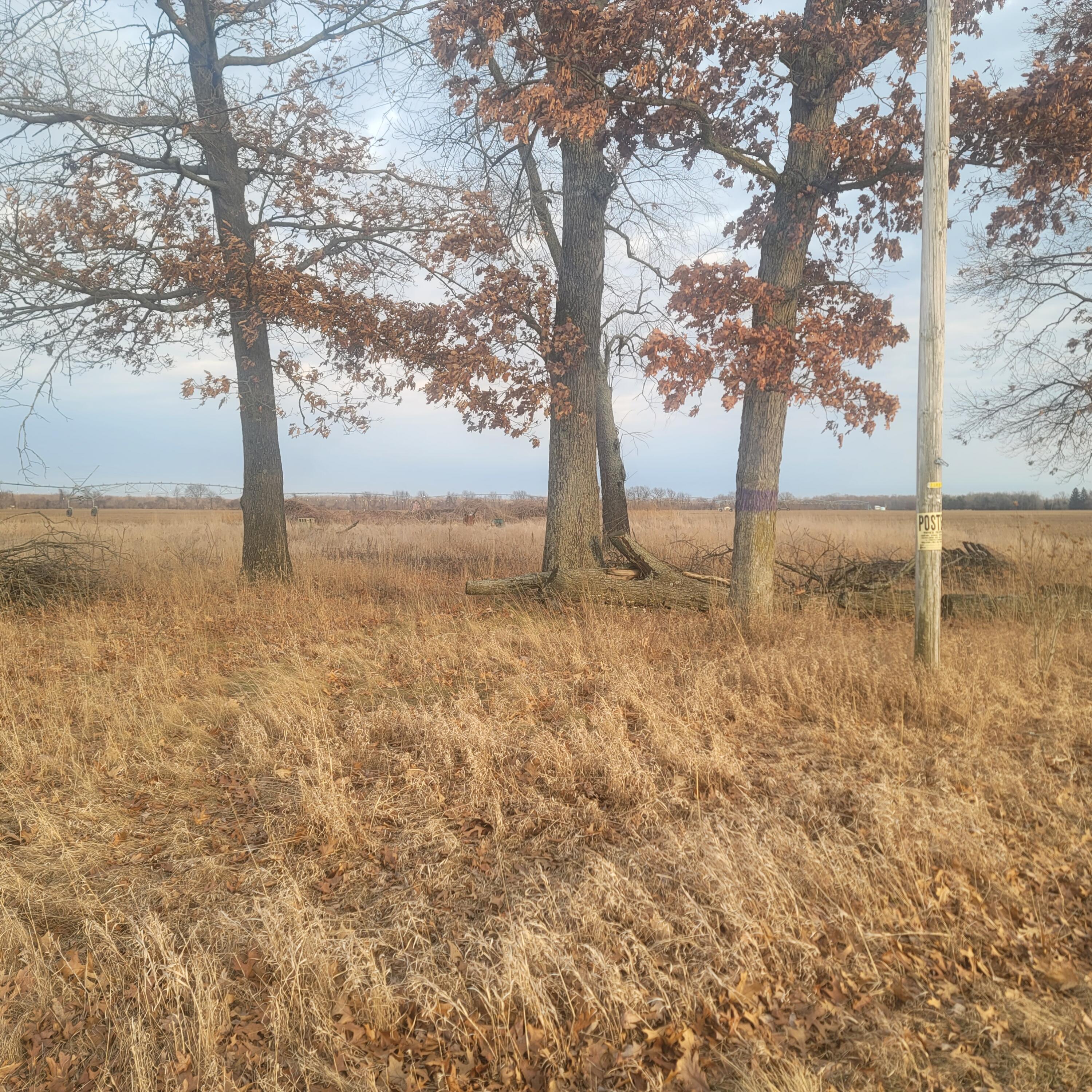 65515 Sevison Road Constantine, MI 49042 - Photo 3 of 4 1000022014