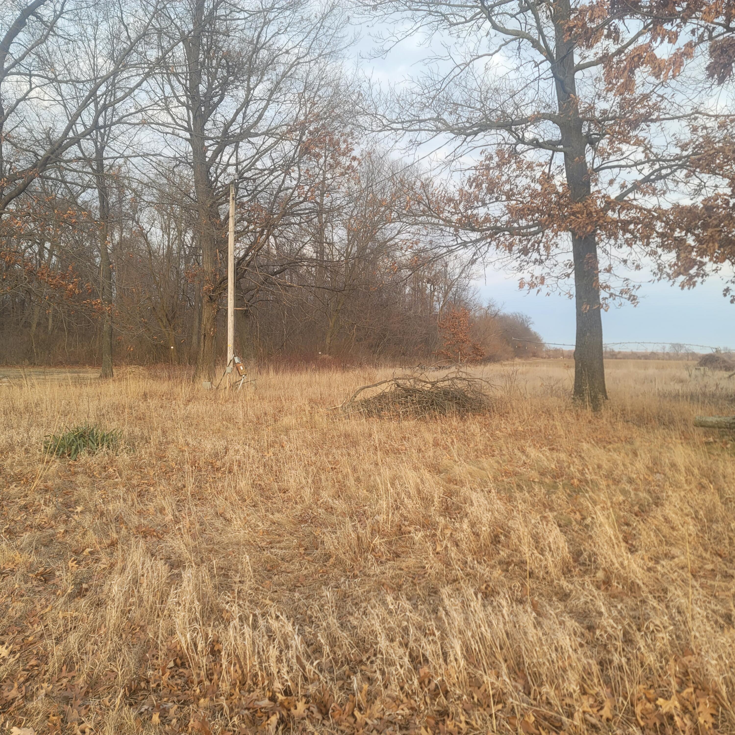 65515 Sevison Road Constantine, MI 49042 - Photo 4 of 4 1000022013