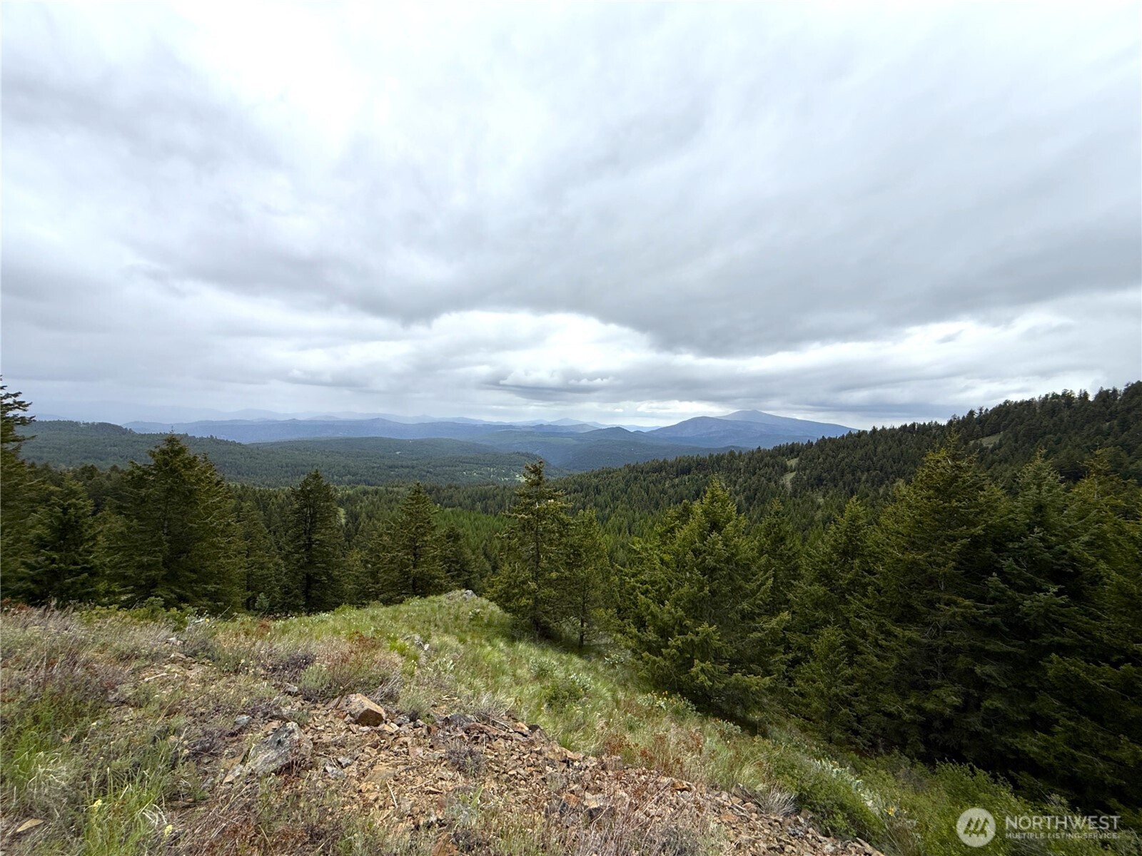 0 Pontiac Ridge Road Oroville, WA 98844 - Photo 19 of 21