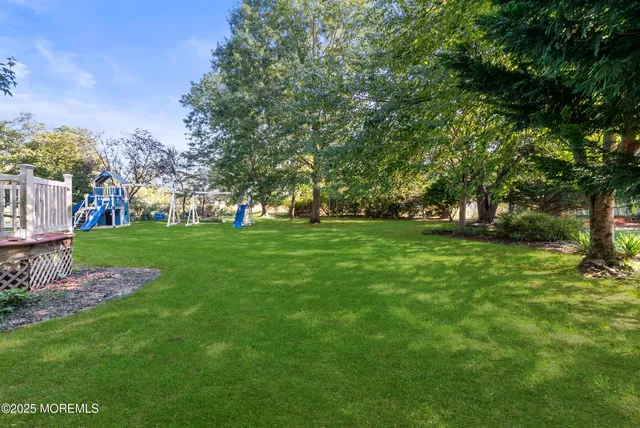 a view of a park with large trees