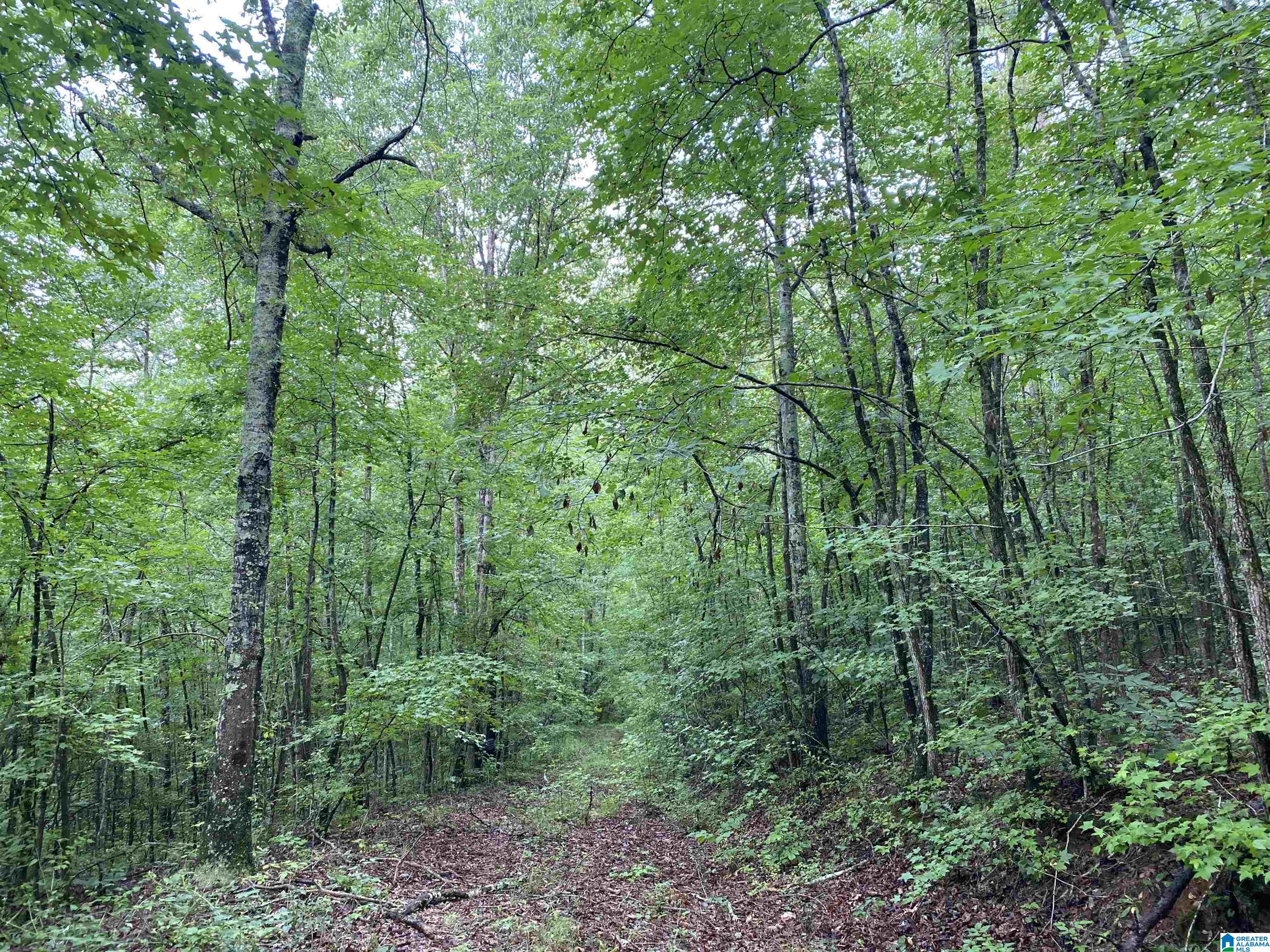 Bull Hollow Road, Unit 60 Odenville, AL 35120 - Photo 20 of 25
