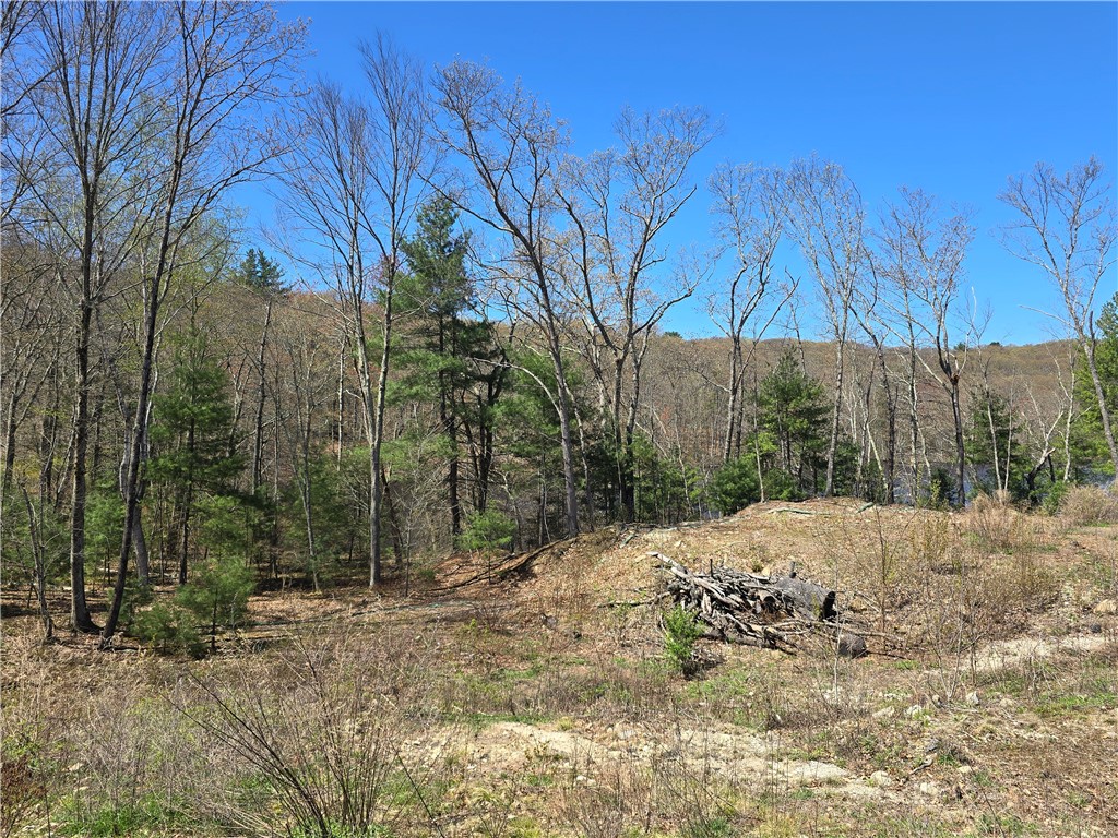 210 Log Road Smithfield, RI 02917 - Photo 4 of 8