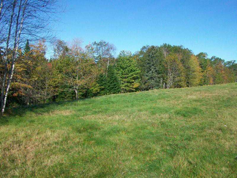 587 Ellsworth Road Blue Hill, ME 04614 - Photo 5 of 22 Land/Lot.