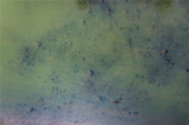 $1,895,000 | 75 Rivercreek Crossing, Kingston, GA 30145