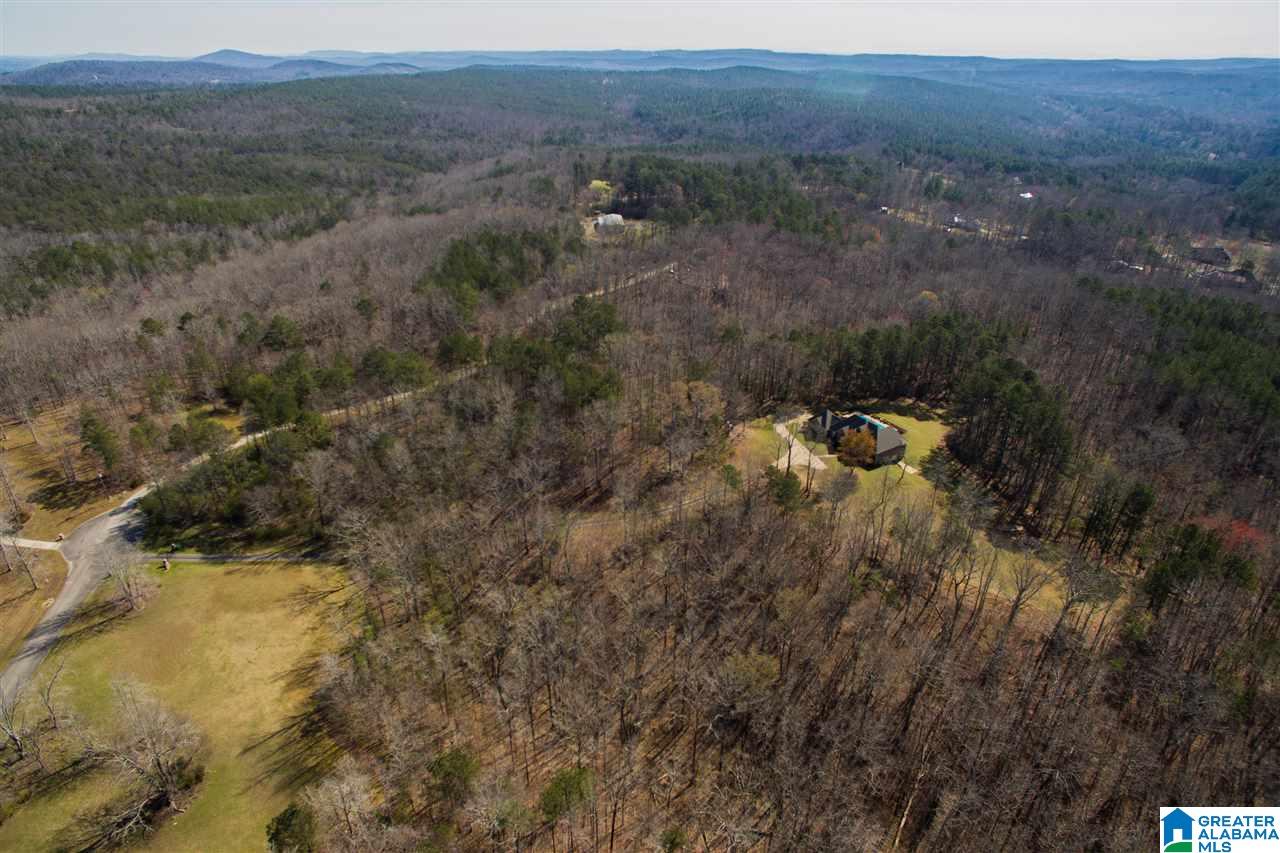1400 Mountain View Lane Springville, AL 35146 - Photo 37 of 44