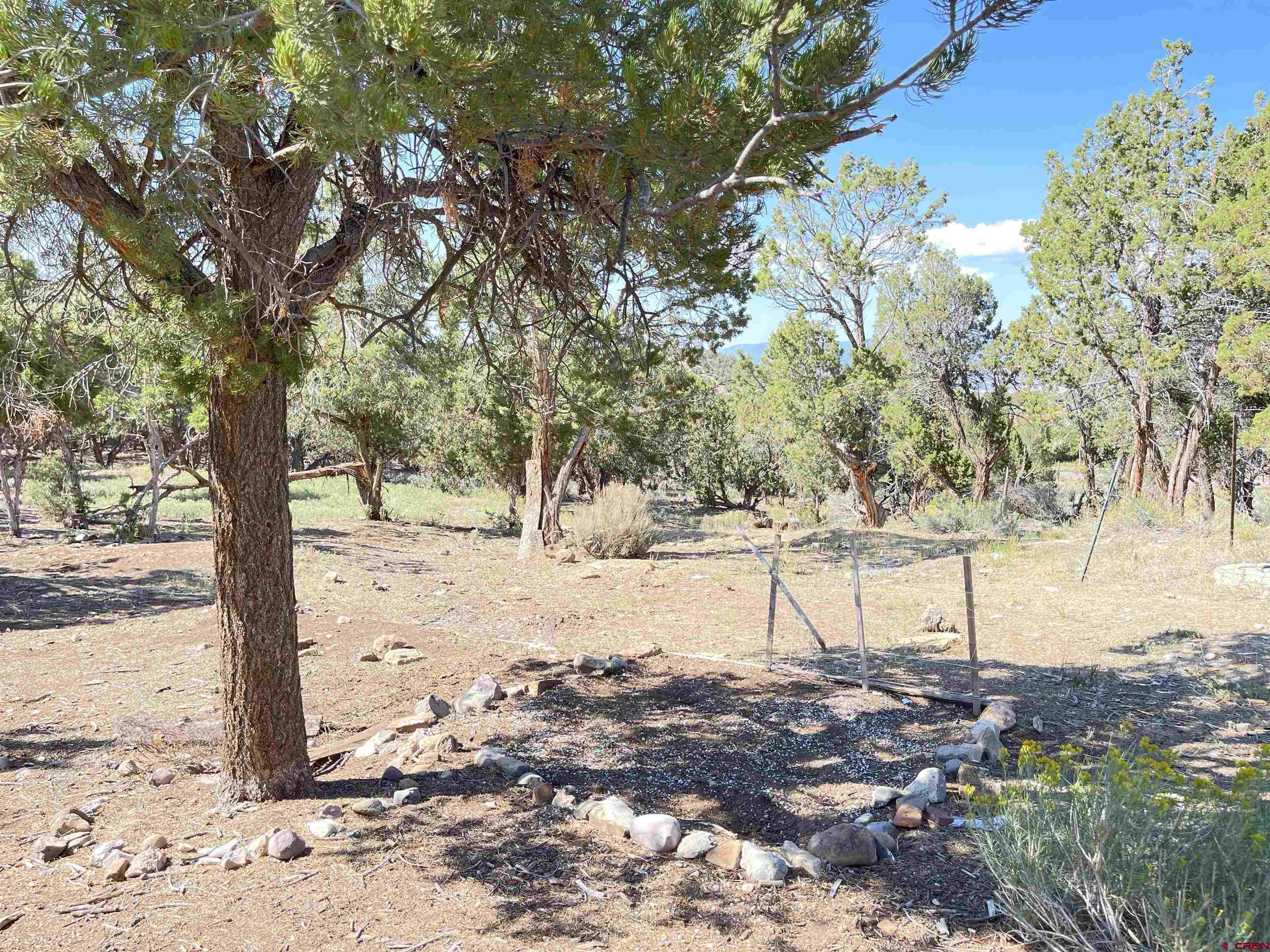 2001 Black Canyon Road Crawford, CO 81415 - Photo 43 of 45 a view of yard covered with snow