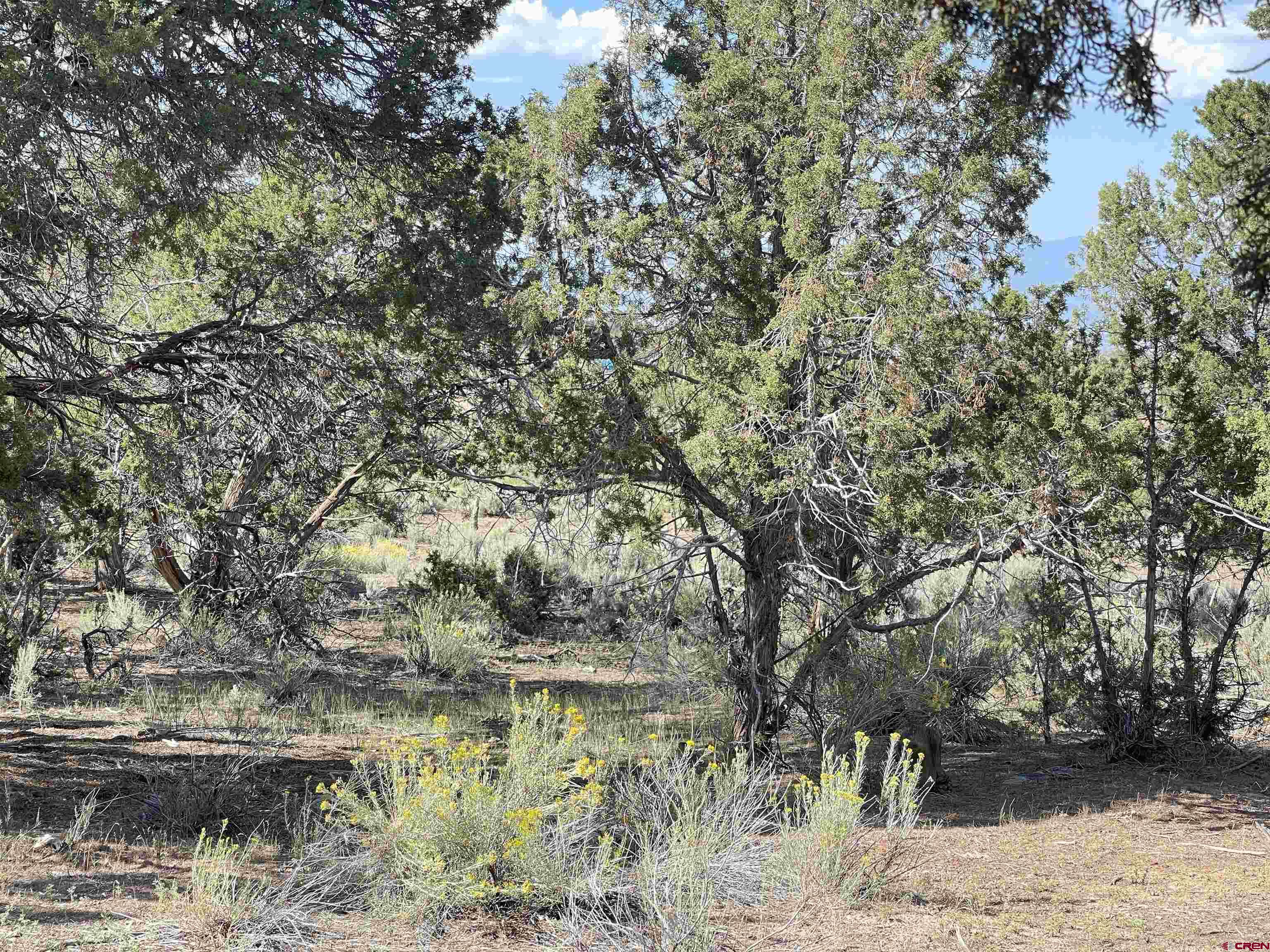 2001 Black Canyon Road Crawford, CO 81415 - Photo 44 of 45 a view of lake view