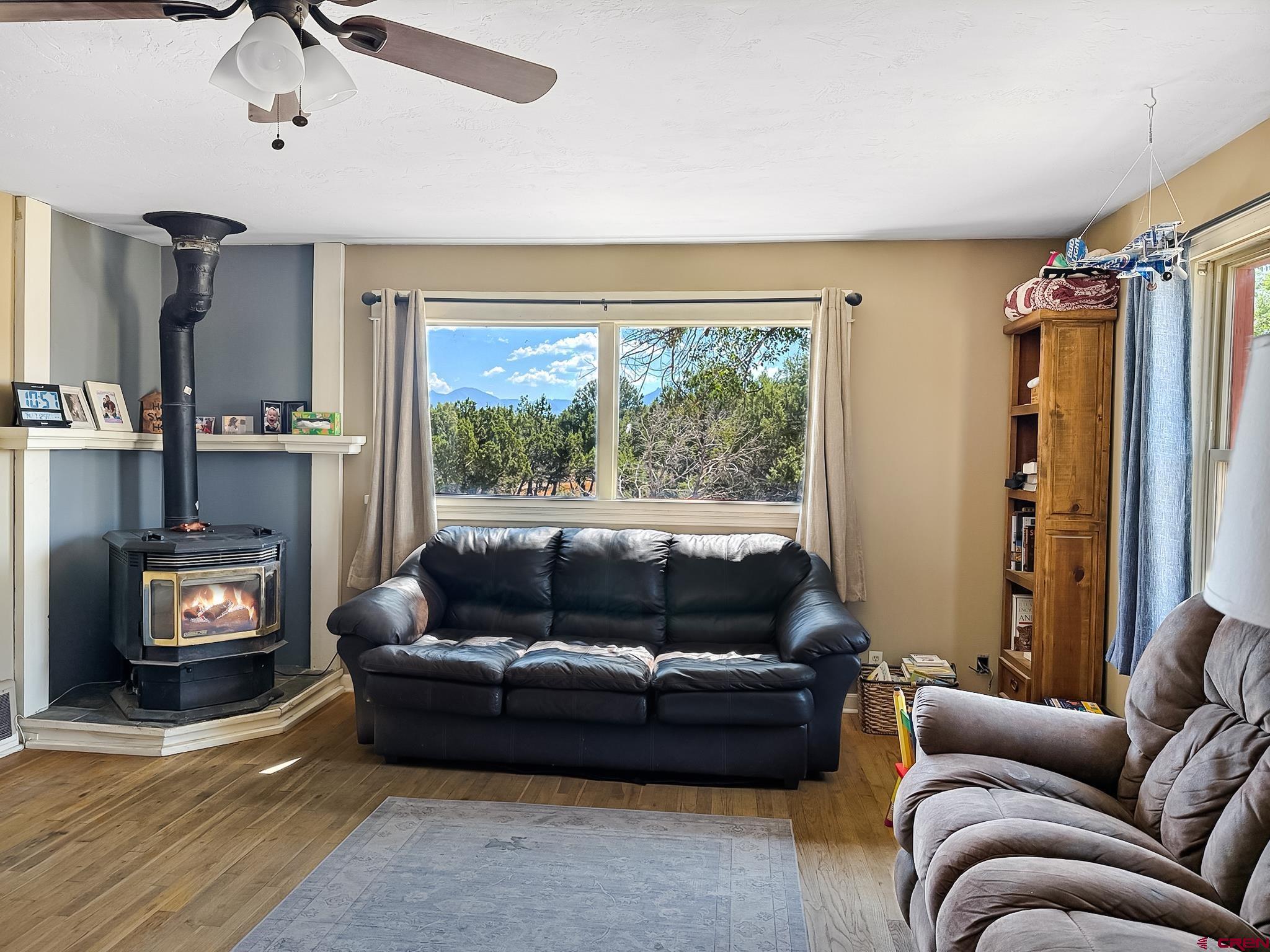 2001 Black Canyon Road Crawford, CO 81415 - Photo 8 of 45 a living room with furniture and a fireplace