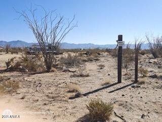 13950 Cameron Road, Unit 10 Yucca, AZ 86438 - Photo 2 of 4 a view of a dry yard with trees