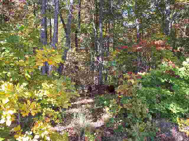 Lot 8 Falcons Nest Road Walhalla, SC 29691 - Photo 1 of 6 Gallery Image 1
