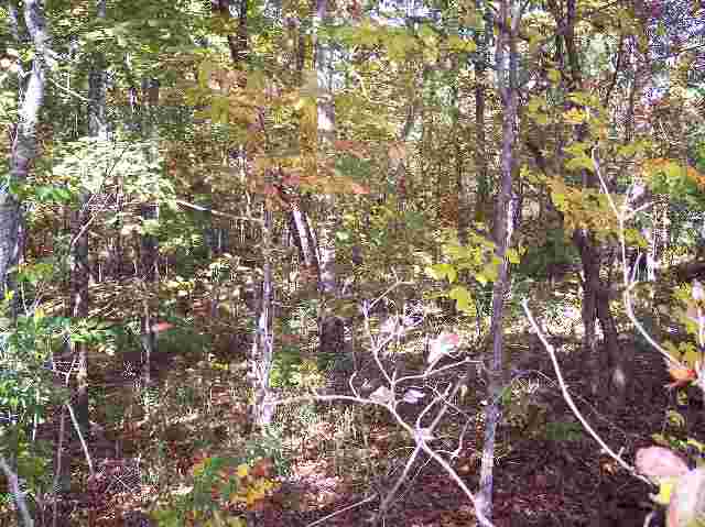 Lot 8 Falcons Nest Road Walhalla, SC 29691 - Photo 3 of 6 Gallery Image 3