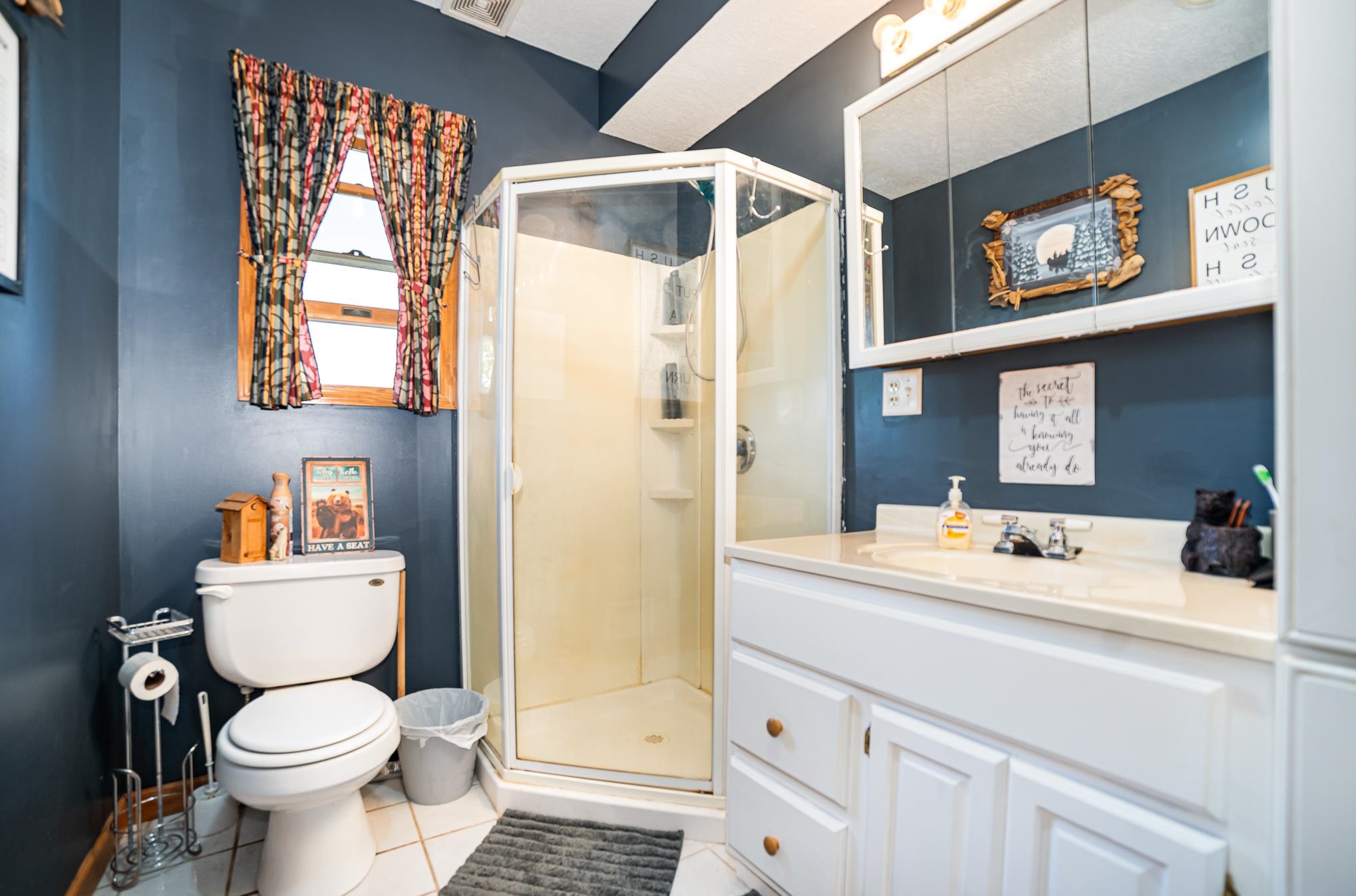 8719 West Hayes Road Middleton, MI 48856 - Photo 20 of 42
