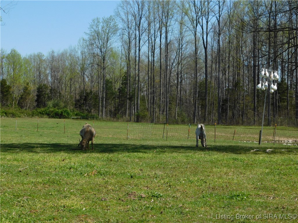 6416 East Fire Tower Road Salem, IN 47167 - Photo 9 of 50