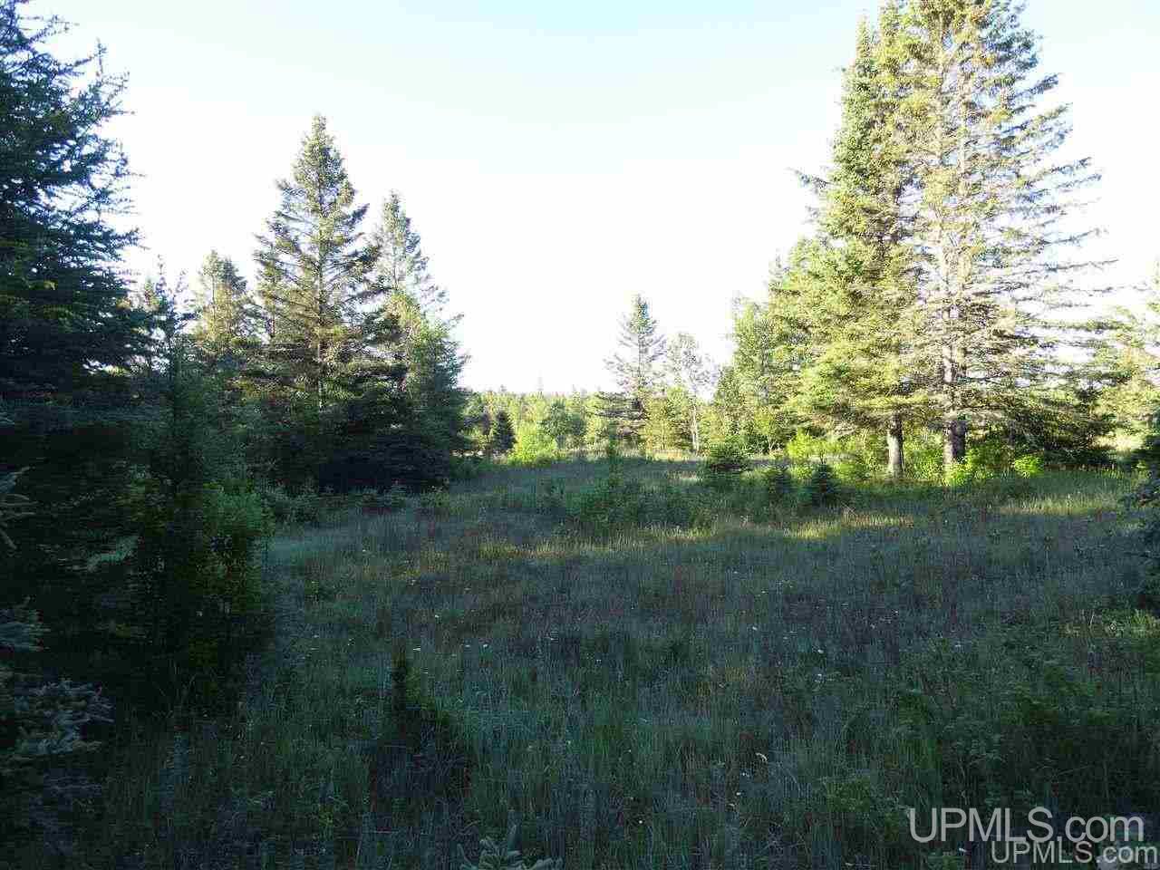 11918 T Road Rapid River, MI 49878 - Photo 32 of 49 Gallery Image 32