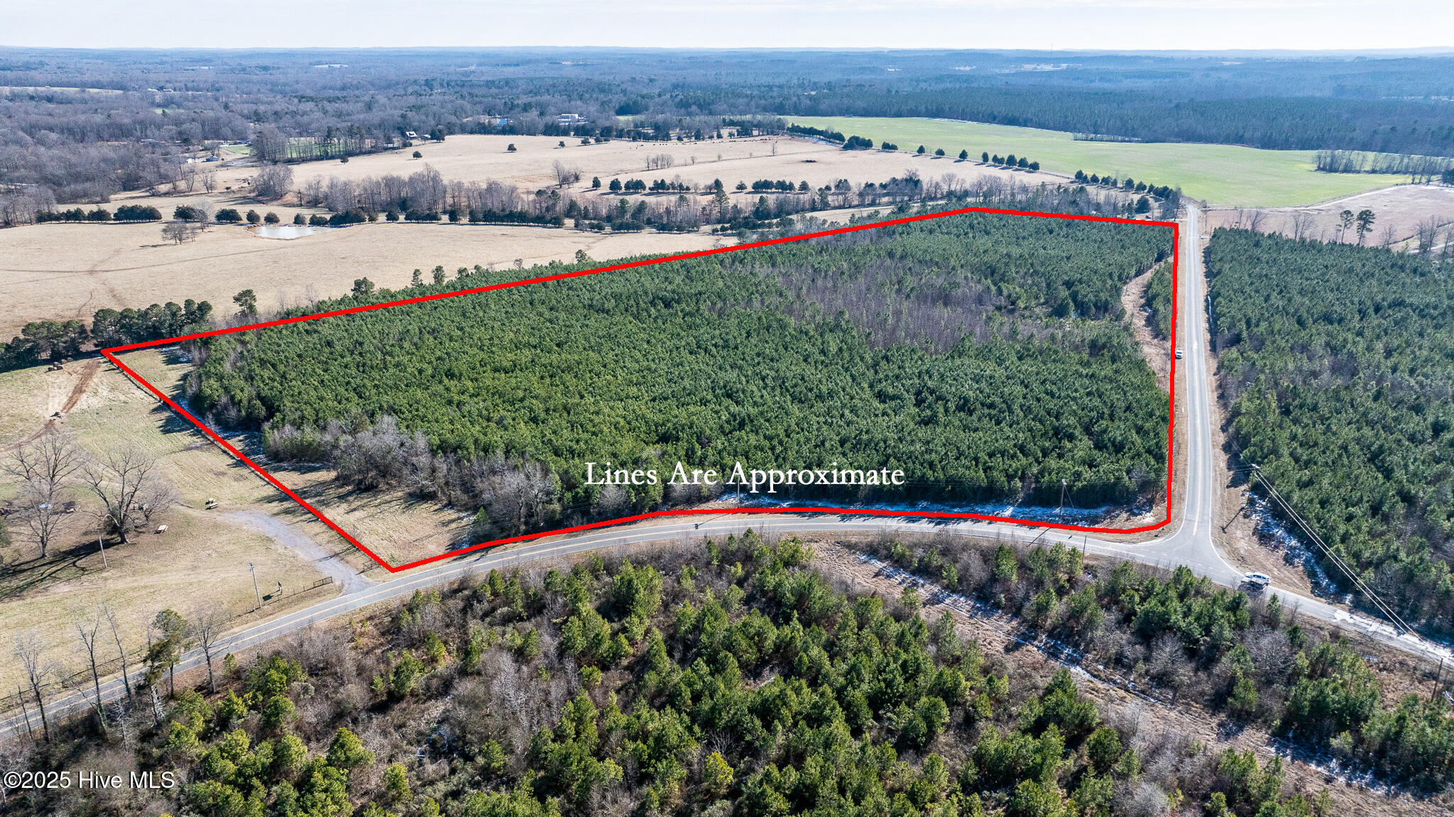 1100 Ben Smith Road Siler City, NC 27344 - Photo 5 of 66 SilerCity-0087488-11-wLines