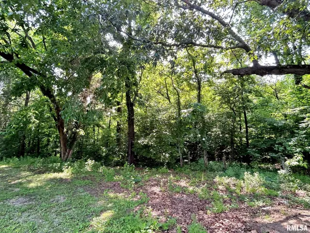 $264,900 | 27 Grasty Road, Golconda, IL 62938