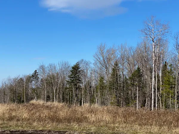 $115,000 | 8 Tumbledown Lane, Greenville, ME 04441