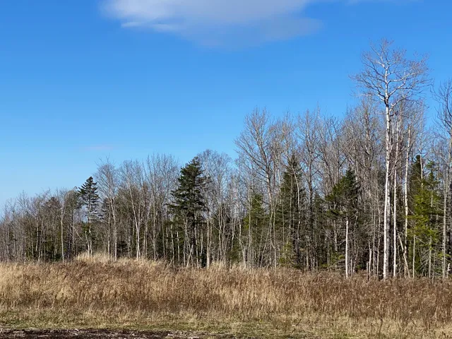 $115,000 | 8 Tumbledown Lane, Greenville, ME 04441