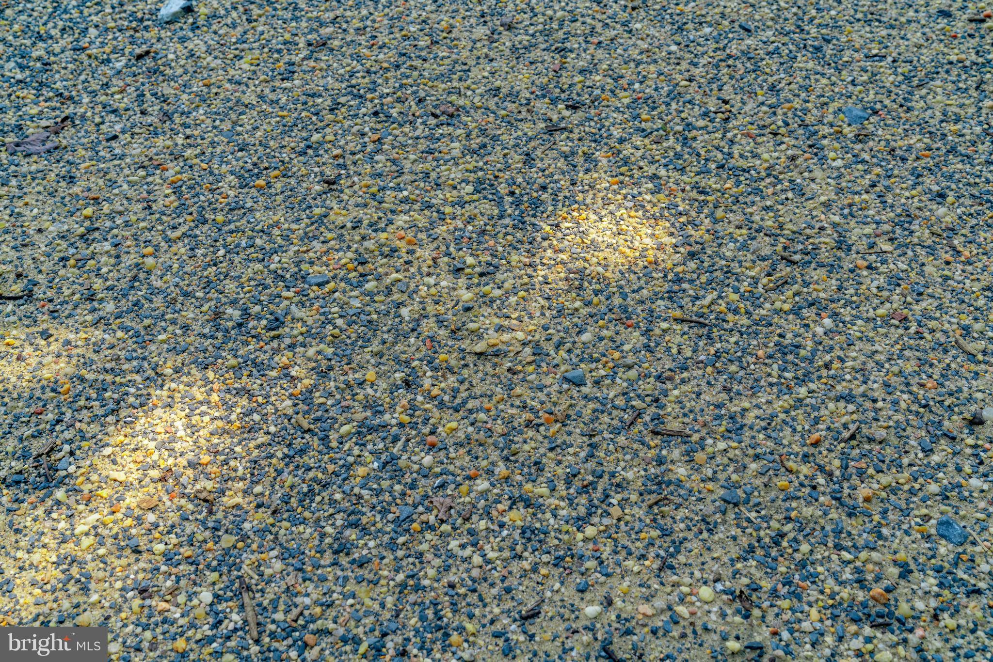 13431 Lewisdale Road Clarksburg, MD 20871 - Photo 17 of 27 Blue Stone/ Sand Footing in the Outdoor Arena