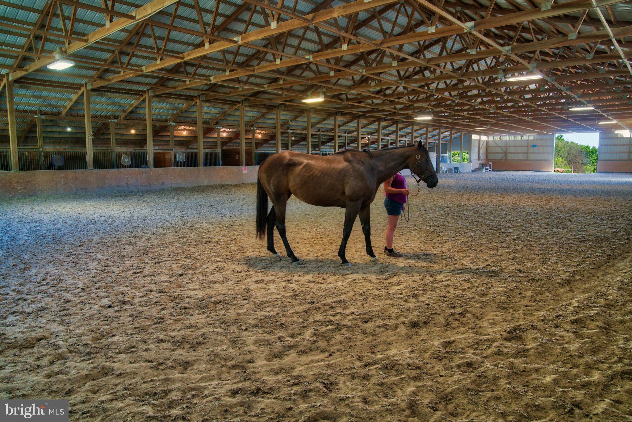 13431 Lewisdale Road Clarksburg, MD 20871 - Photo 3 of 27 Large Equestrian Estate with Indoor Arena