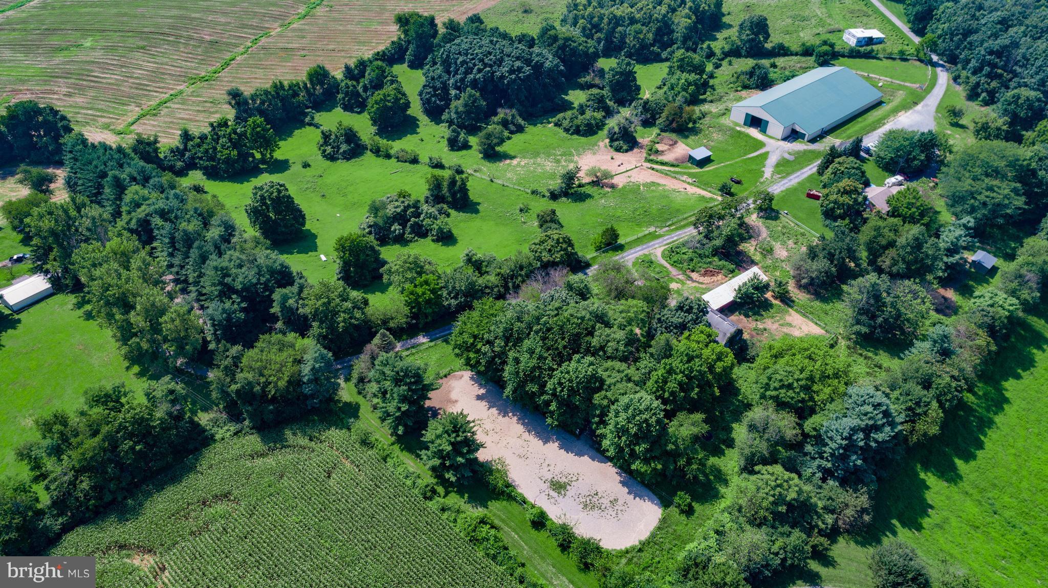 13431 Lewisdale Road Clarksburg, MD 20871 - Photo 26 of 27 Farm backs to Woods and Corn Fields for Privacy