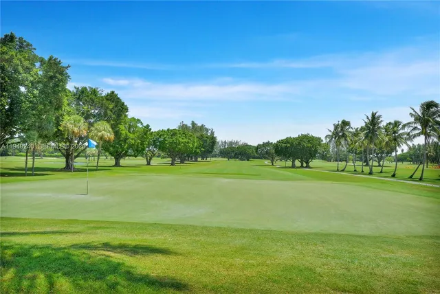 a view of a big yard with a large trees