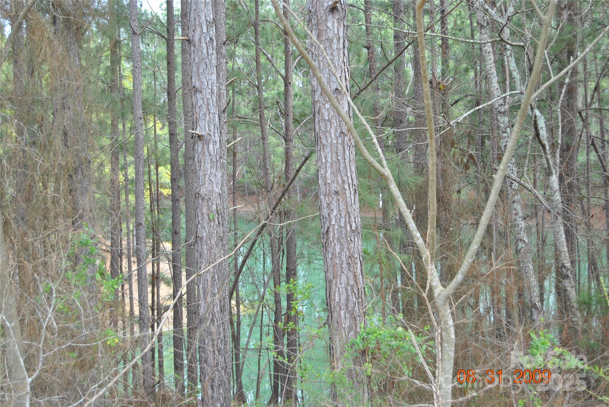 2400 Pressley Road Chester, SC 29706 - Photo 15 of 16