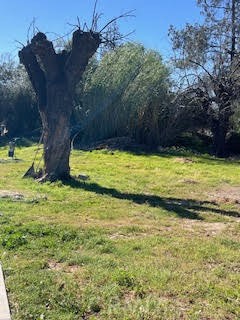 10209 26th Street Rancho Cucamonga, CA 91730 - Photo 7 of 15