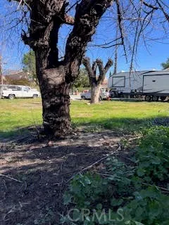 a view of a yard with an house