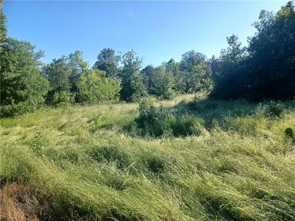a view of a lush green space