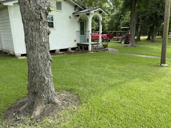 a view of outdoor space with garden and trees