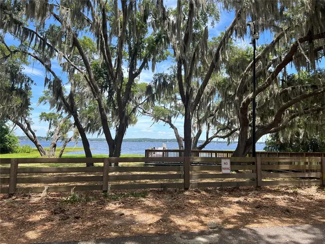 a view of yard with trees