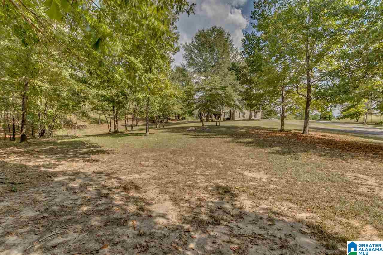 11328 Brant Ward Road Cottondale, AL 35453 - Photo 34 of 36