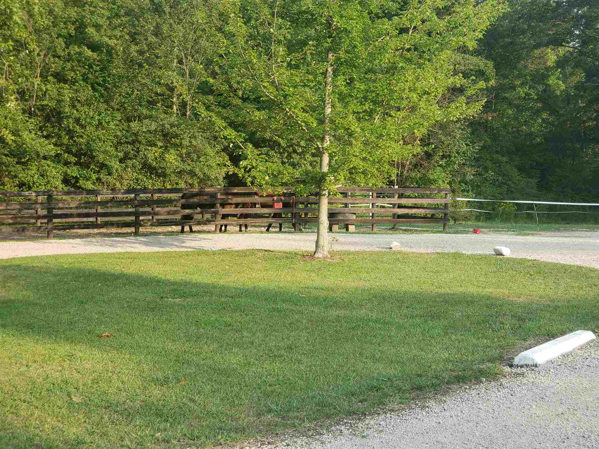 3510 East 224th Highway Decatur, IN 46733 - Photo 22 of 23