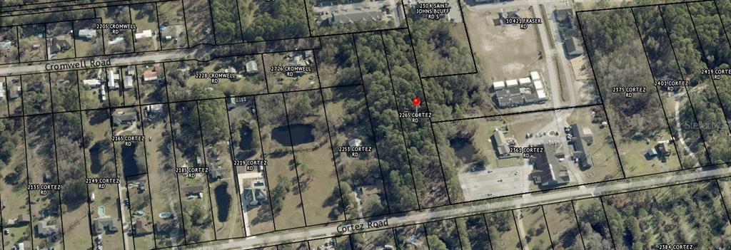 2265 Cortez Road Jacksonville, FL 32246 - Photo 4 of 11 a close up of a tree