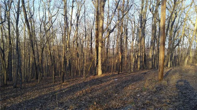 $33,000 | 3 Trout Farm Road, Talking Rock, GA 30175