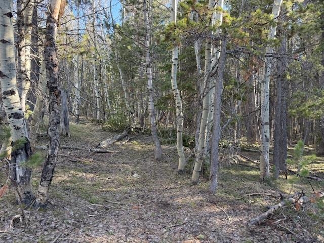 6.44-acres Trails End Road Casper, WY 82601 - Photo 2 of 5