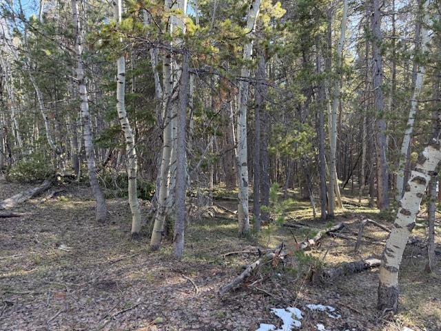 6.44-acres Trails End Road Casper, WY 82601 - Photo 4 of 5