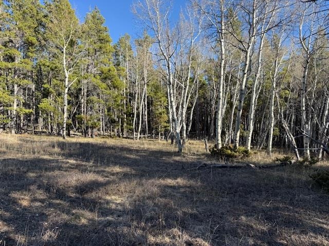 6.44-acres Trails End Road Casper, WY 82601 - Photo 5 of 5