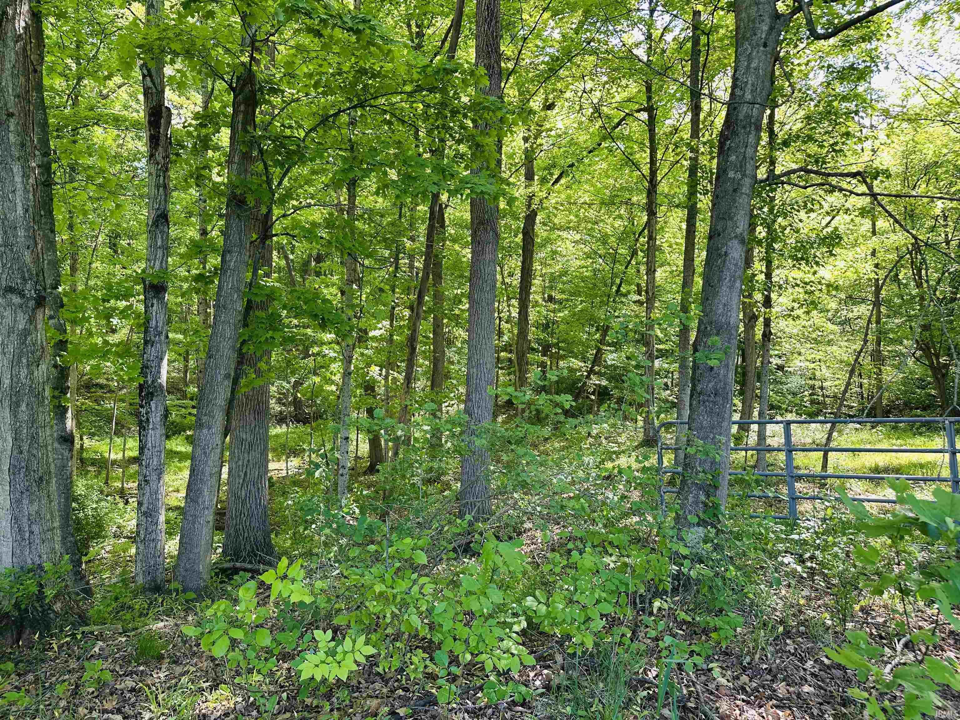 23600 New Road South Bend, IN 46614 - Photo 18 of 36