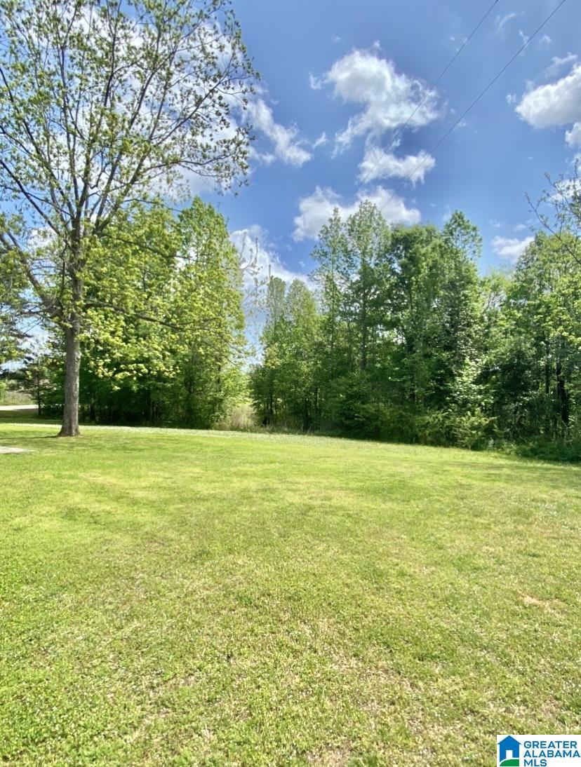465 County Road 6 Heflin, AL 36264 - Photo 36 of 38